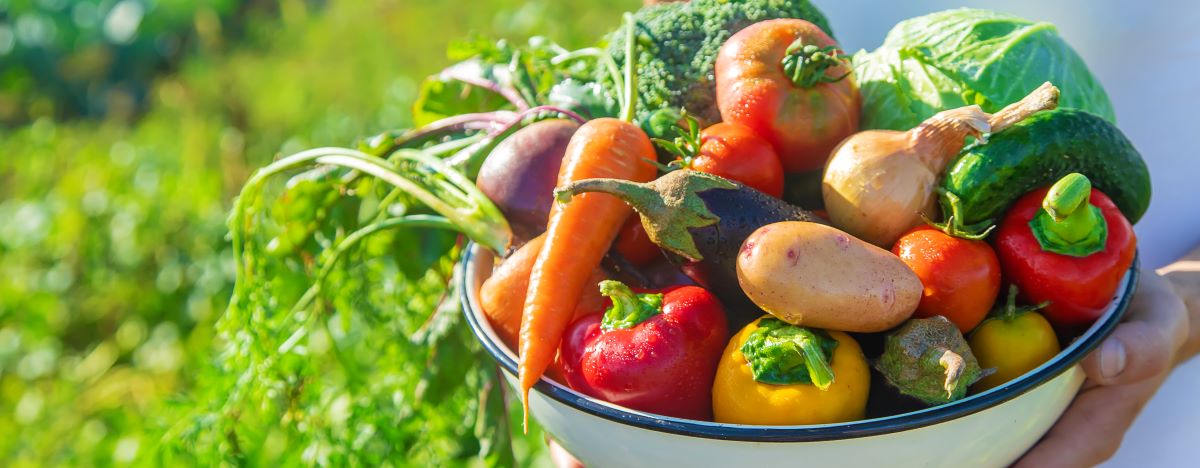 Saisonkalender: Obst & Gemüse das ganze Jahr