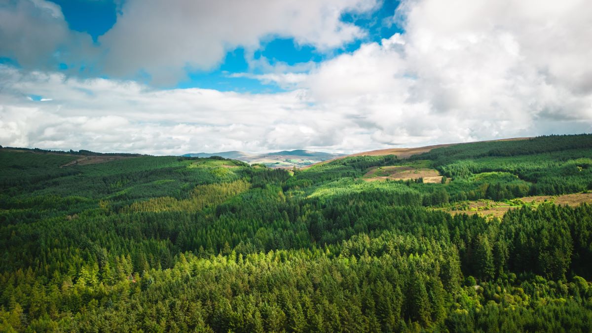 Natur entdecken: Schätze vor deiner Haustür