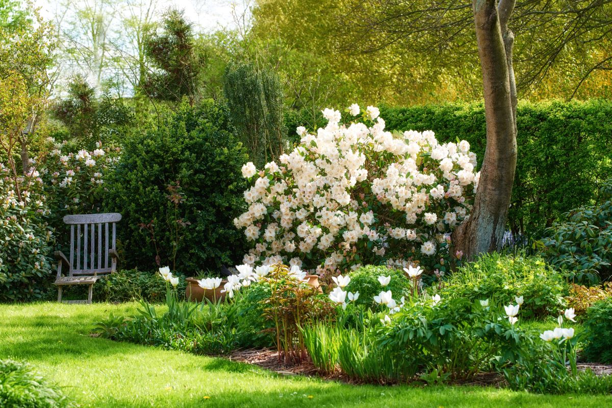 Ruhe im eigenen Garten — Ihr privater Rückzugsort in Stuttga